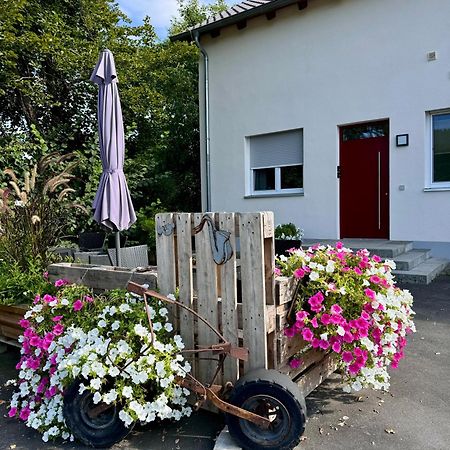 Ferienwohnungen Frank Segnitz Exterior foto