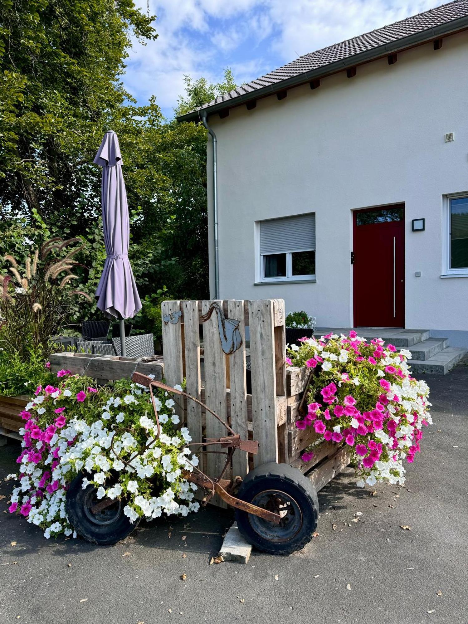 Ferienwohnungen Frank Segnitz Exterior foto